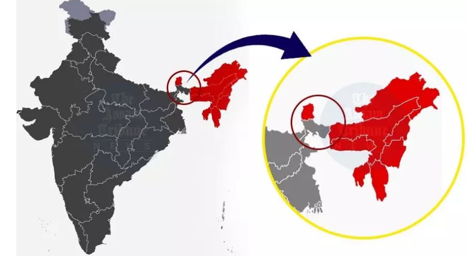 chicken neck map