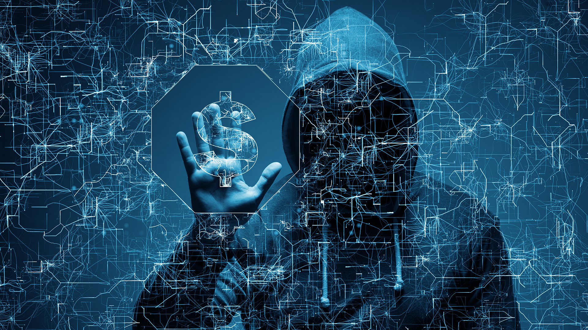 cyber crime